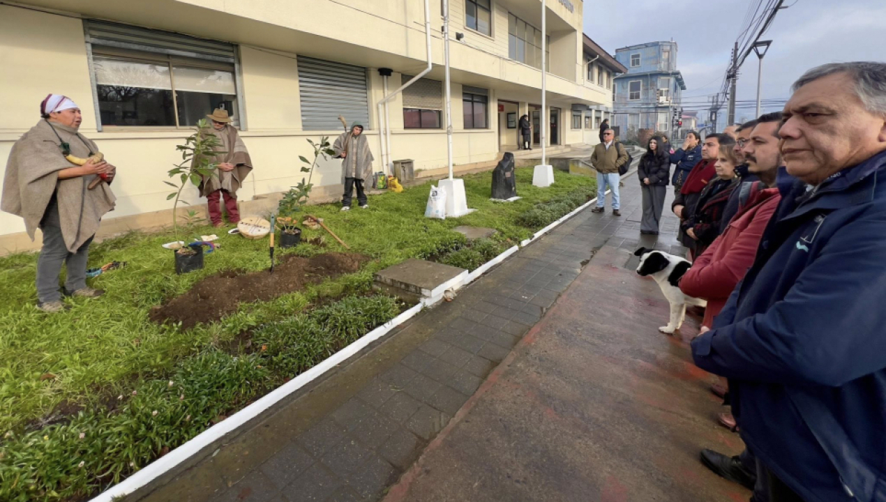 /conmemoracion-del-we-tripantu-plantacion-de-canelos-en-la-delegacion