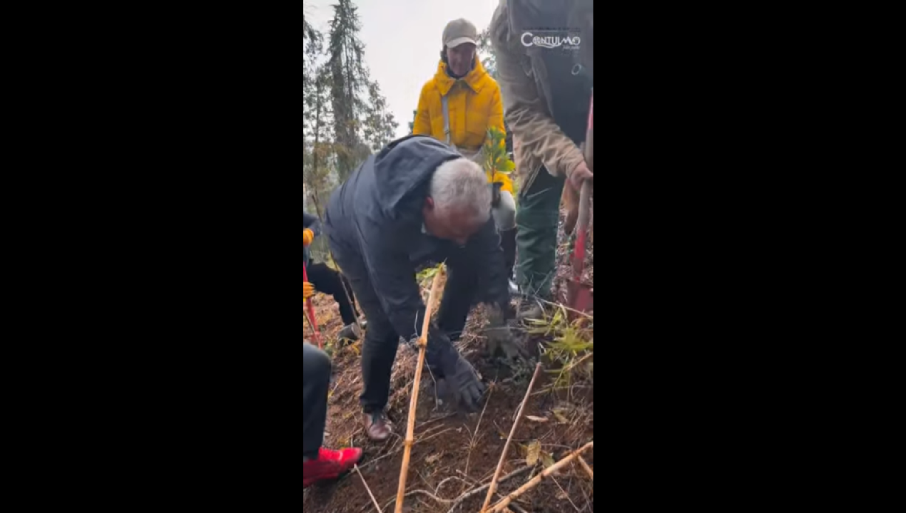 /contulmo-da-inicio-a-proceso-de-reforestacion-nativa-en-el-parque-santa