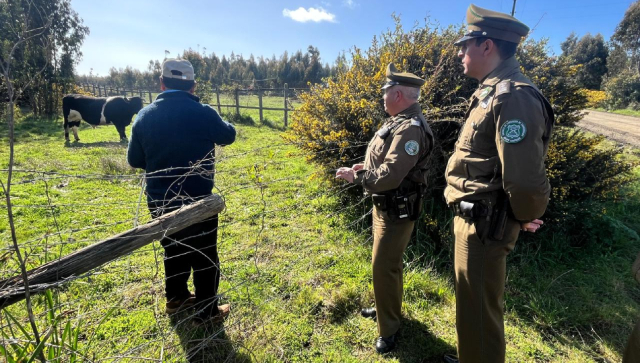 /carabineros-refuerza-acciones-preventivas-contra-el-abigeato-en-sector