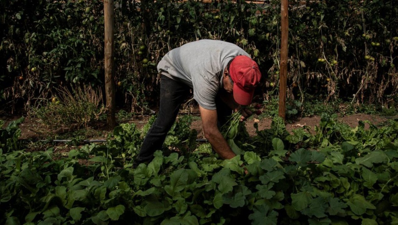 /entrevistas/medio-ambiente/entrevista-comision-nacional-de-riego-el-70-del-agua-dulce-esta