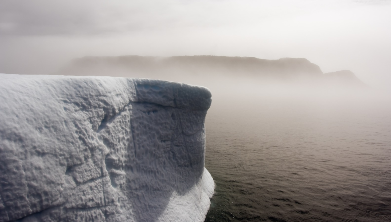 /tendencias/ciencia/encuentran-microcontinente-frente-a-groenlandia-de-unos-60-millones-de-anos