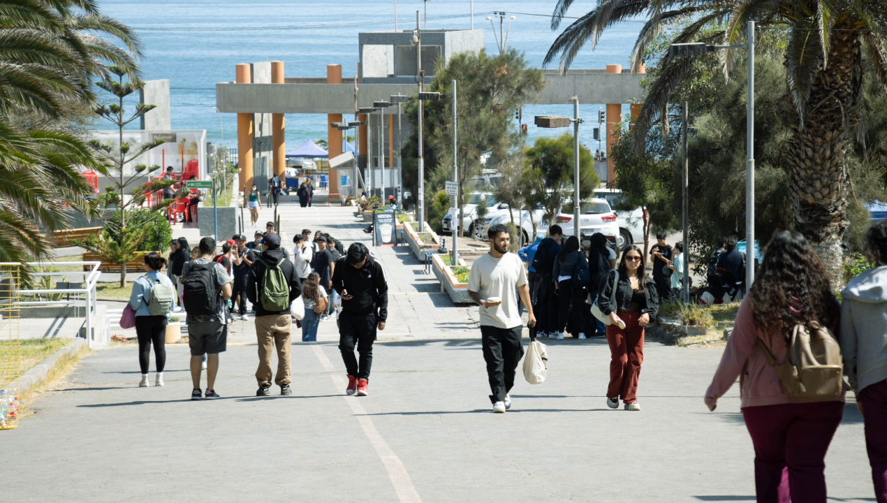 /especialistas-de-la-universidad-de-antofagasta-ofrecen-consejos-para-el